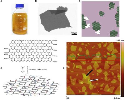 Graphene Oxide and Derivatives: The Place in Graphene Family